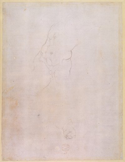 Study of a Male Torso (verso) by Michelangelo Buonarroti